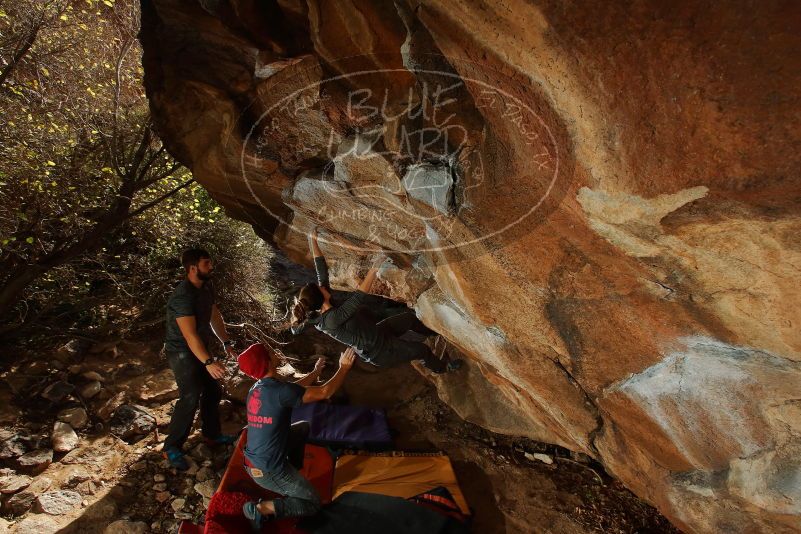 Bouldering in Hueco Tanks on 12/06/2019 with Blue Lizard Climbing and Yoga
Filename: SRM_20191206_1310570.jpg
Aperture: f/8.0
Shutter Speed: 1/250
Body: Canon EOS-1D Mark II
Lens: Canon EF 16-35mm f/2.8 L