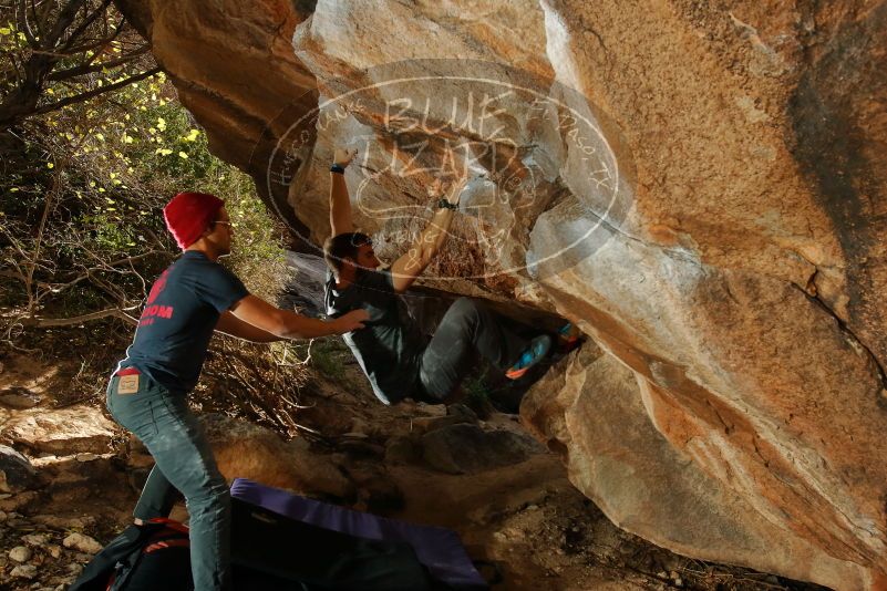 Bouldering in Hueco Tanks on 12/06/2019 with Blue Lizard Climbing and Yoga
Filename: SRM_20191206_1337060.jpg
Aperture: f/7.1
Shutter Speed: 1/250
Body: Canon EOS-1D Mark II
Lens: Canon EF 16-35mm f/2.8 L