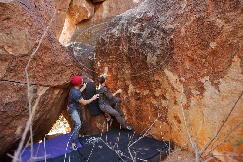 Bouldering in Hueco Tanks on 12/06/2019 with Blue Lizard Climbing and Yoga
Filename: SRM_20191206_1407350.jpg
Aperture: f/4.0
Shutter Speed: 1/250
Body: Canon EOS-1D Mark II
Lens: Canon EF 16-35mm f/2.8 L