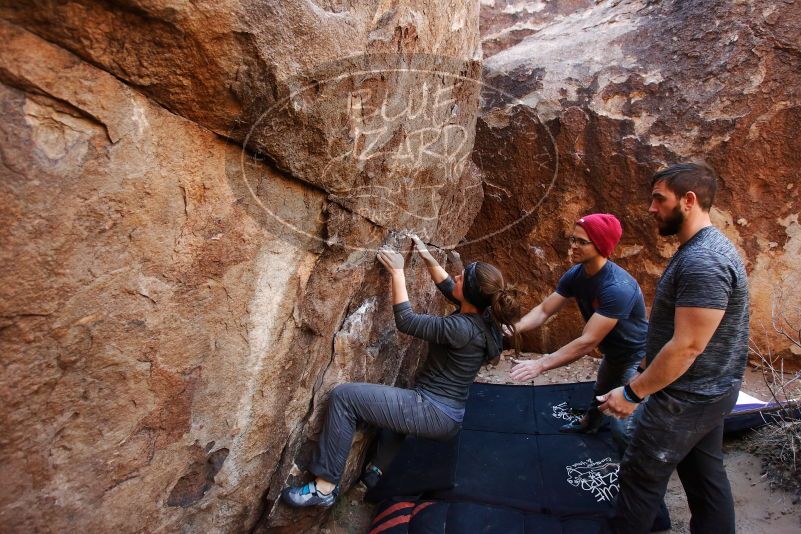 Bouldering in Hueco Tanks on 12/06/2019 with Blue Lizard Climbing and Yoga
Filename: SRM_20191206_1419100.jpg
Aperture: f/4.0
Shutter Speed: 1/250
Body: Canon EOS-1D Mark II
Lens: Canon EF 16-35mm f/2.8 L