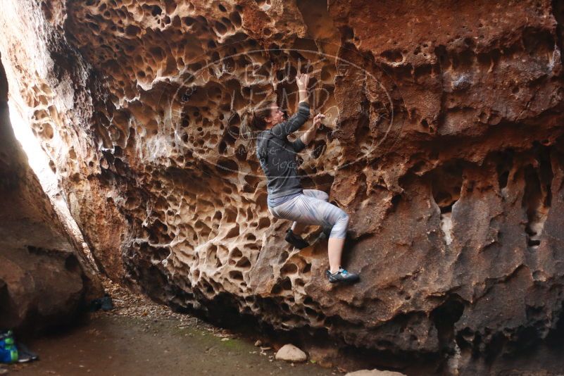 Bouldering in Hueco Tanks on 12/06/2019 with Blue Lizard Climbing and Yoga
Filename: SRM_20191206_1523230.jpg
Aperture: f/2.5
Shutter Speed: 1/250
Body: Canon EOS-1D Mark II
Lens: Canon EF 50mm f/1.8 II