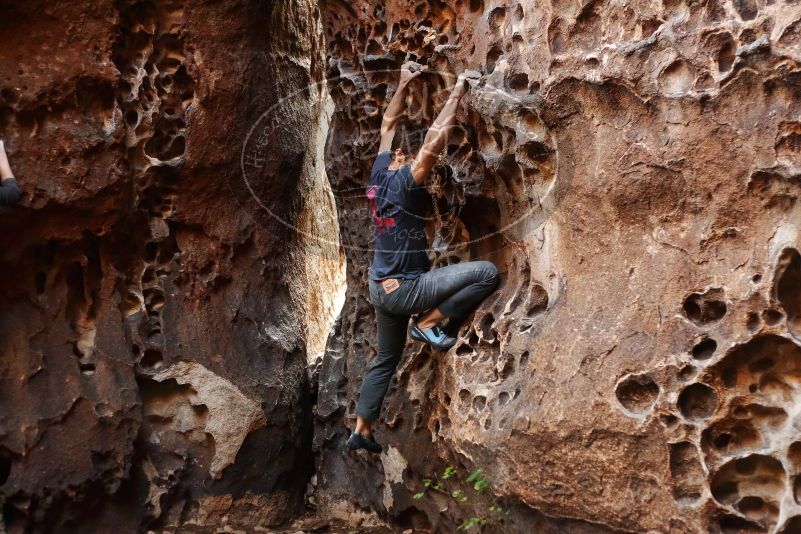 Bouldering in Hueco Tanks on 12/06/2019 with Blue Lizard Climbing and Yoga
Filename: SRM_20191206_1523350.jpg
Aperture: f/2.8
Shutter Speed: 1/250
Body: Canon EOS-1D Mark II
Lens: Canon EF 50mm f/1.8 II