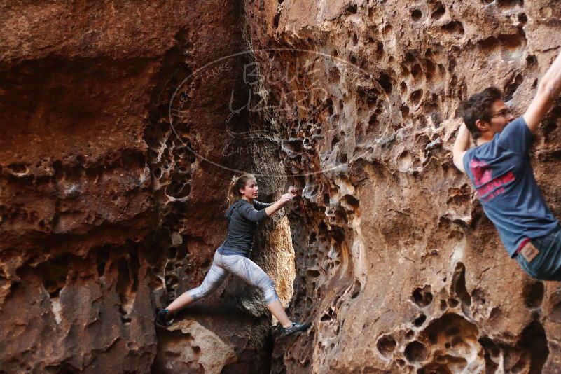 Bouldering in Hueco Tanks on 12/06/2019 with Blue Lizard Climbing and Yoga
Filename: SRM_20191206_1523580.jpg
Aperture: f/2.8
Shutter Speed: 1/250
Body: Canon EOS-1D Mark II
Lens: Canon EF 50mm f/1.8 II