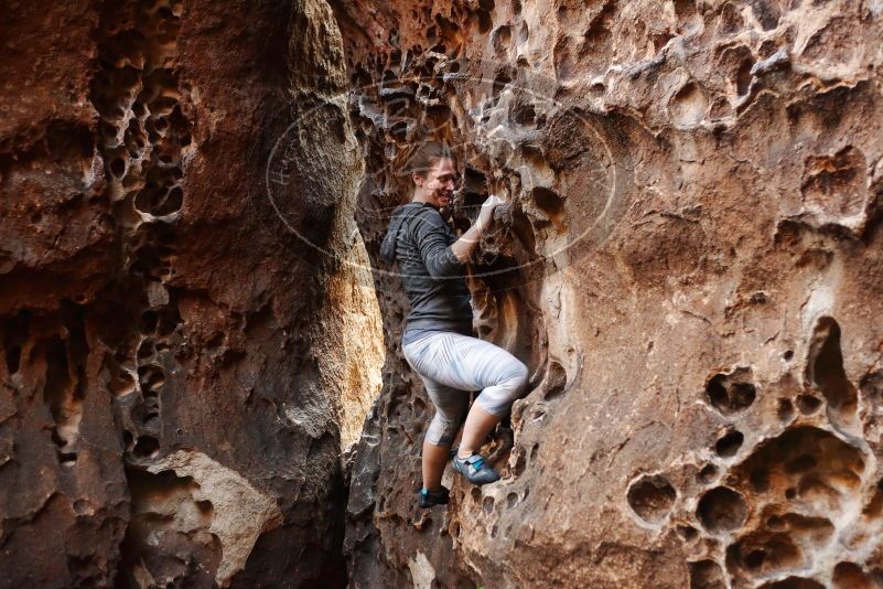 Bouldering in Hueco Tanks on 12/06/2019 with Blue Lizard Climbing and Yoga
Filename: SRM_20191206_1524250.jpg
Aperture: f/2.8
Shutter Speed: 1/250
Body: Canon EOS-1D Mark II
Lens: Canon EF 50mm f/1.8 II