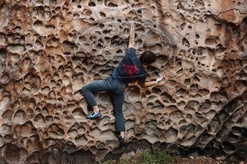 Bouldering in Hueco Tanks on 12/06/2019 with Blue Lizard Climbing and Yoga
Filename: SRM_20191206_1524440.jpg
Aperture: f/3.5
Shutter Speed: 1/250
Body: Canon EOS-1D Mark II
Lens: Canon EF 50mm f/1.8 II