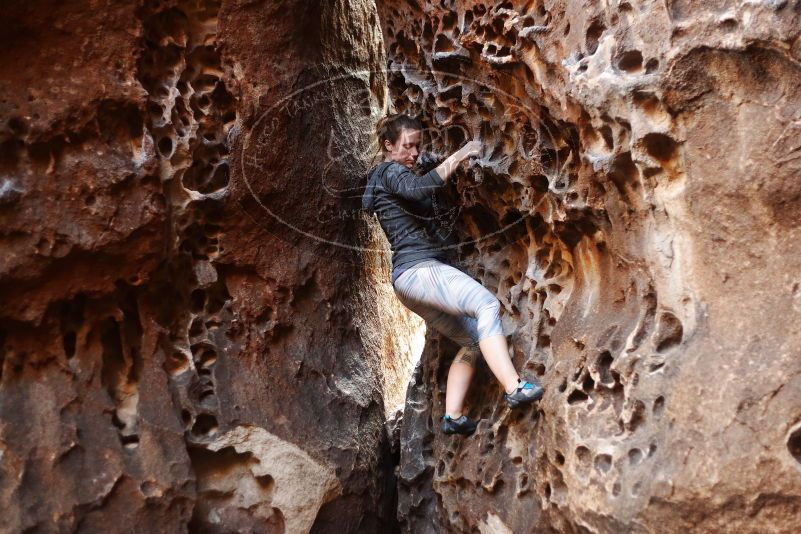 Bouldering in Hueco Tanks on 12/06/2019 with Blue Lizard Climbing and Yoga

Filename: SRM_20191206_1532110.jpg
Aperture: f/2.2
Shutter Speed: 1/160
Body: Canon EOS-1D Mark II
Lens: Canon EF 50mm f/1.8 II