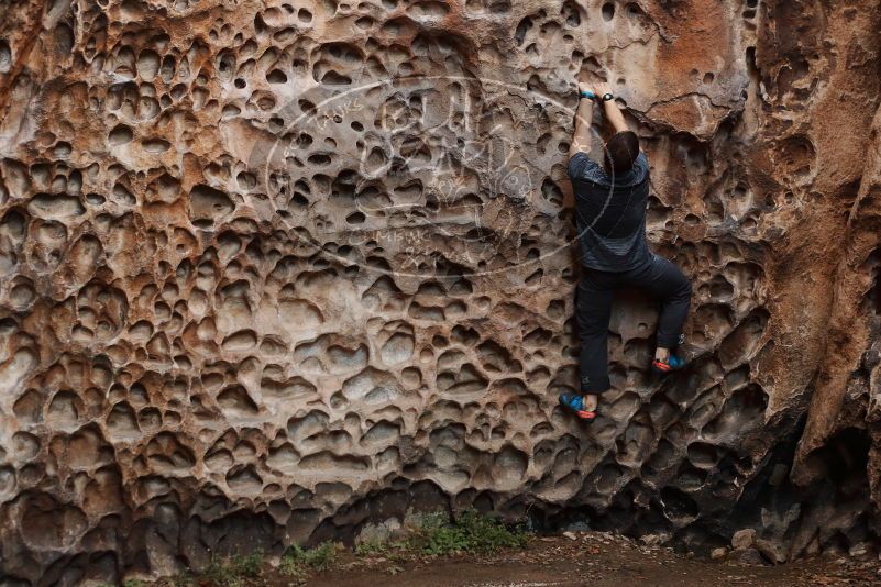 Bouldering in Hueco Tanks on 12/06/2019 with Blue Lizard Climbing and Yoga

Filename: SRM_20191206_1532560.jpg
Aperture: f/3.5
Shutter Speed: 1/160
Body: Canon EOS-1D Mark II
Lens: Canon EF 50mm f/1.8 II