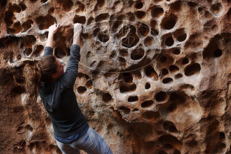 Bouldering in Hueco Tanks on 12/06/2019 with Blue Lizard Climbing and Yoga

Filename: SRM_20191206_1533140.jpg
Aperture: f/3.5
Shutter Speed: 1/160
Body: Canon EOS-1D Mark II
Lens: Canon EF 50mm f/1.8 II