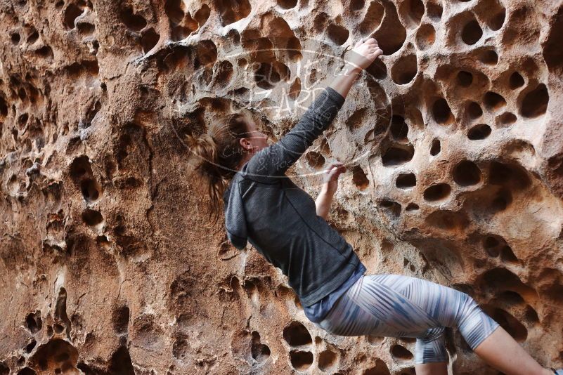 Bouldering in Hueco Tanks on 12/06/2019 with Blue Lizard Climbing and Yoga
Filename: SRM_20191206_1533250.jpg
Aperture: f/2.8
Shutter Speed: 1/160
Body: Canon EOS-1D Mark II
Lens: Canon EF 50mm f/1.8 II