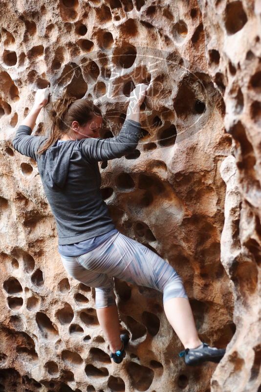 Bouldering in Hueco Tanks on 12/06/2019 with Blue Lizard Climbing and Yoga

Filename: SRM_20191206_1533290.jpg
Aperture: f/2.5
Shutter Speed: 1/160
Body: Canon EOS-1D Mark II
Lens: Canon EF 50mm f/1.8 II