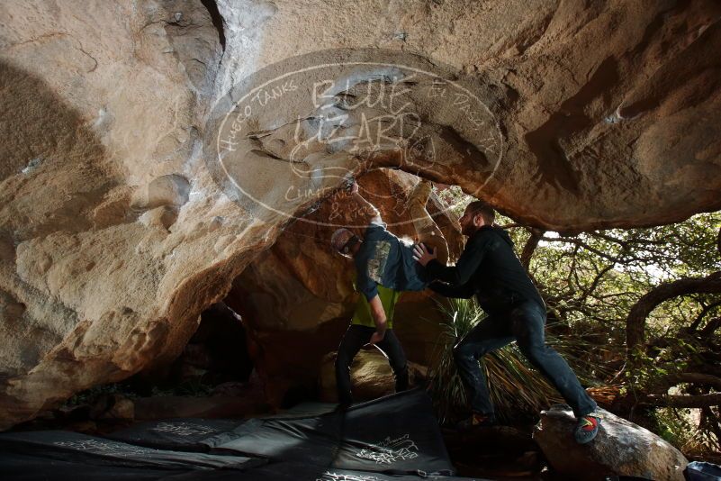 Bouldering in Hueco Tanks on 12/11/2019 with Blue Lizard Climbing and Yoga
Filename: SRM_20191211_1241530.jpg
Aperture: f/6.3
Shutter Speed: 1/250
Body: Canon EOS-1D Mark II
Lens: Canon EF 16-35mm f/2.8 L