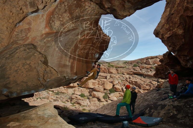 Bouldering in Hueco Tanks on 12/11/2019 with Blue Lizard Climbing and Yoga
Filename: SRM_20191211_1502230.jpg
Aperture: f/6.3
Shutter Speed: 1/250
Body: Canon EOS-1D Mark II
Lens: Canon EF 16-35mm f/2.8 L