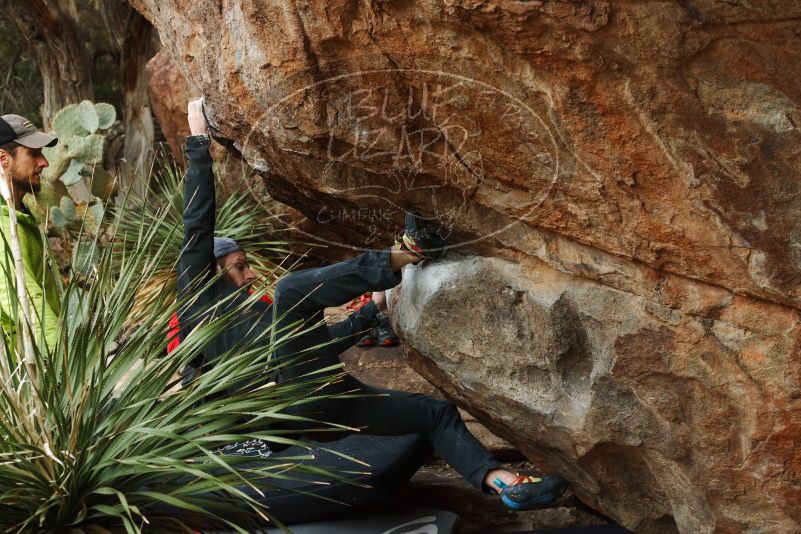 Bouldering in Hueco Tanks on 12/11/2019 with Blue Lizard Climbing and Yoga

Filename: SRM_20191211_1606220.jpg
Aperture: f/4.5
Shutter Speed: 1/400
Body: Canon EOS-1D Mark II
Lens: Canon EF 50mm f/1.8 II