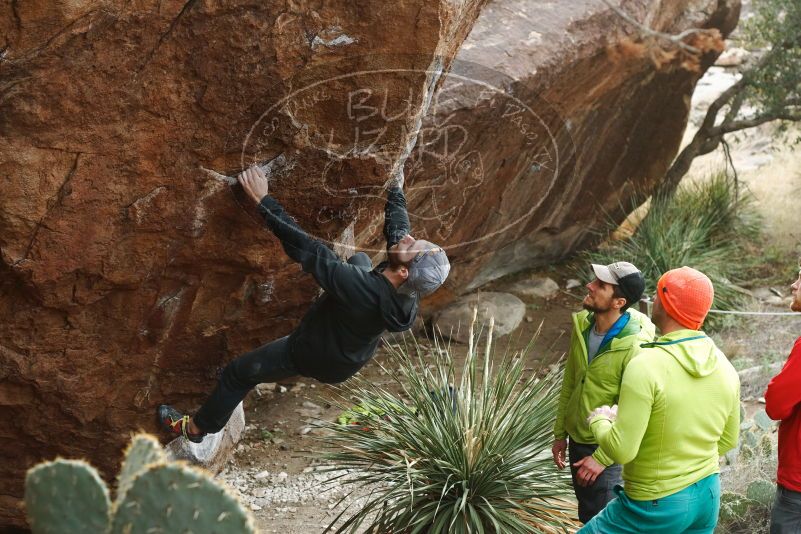 Bouldering in Hueco Tanks on 12/11/2019 with Blue Lizard Climbing and Yoga

Filename: SRM_20191211_1628300.jpg
Aperture: f/4.5
Shutter Speed: 1/250
Body: Canon EOS-1D Mark II
Lens: Canon EF 50mm f/1.8 II