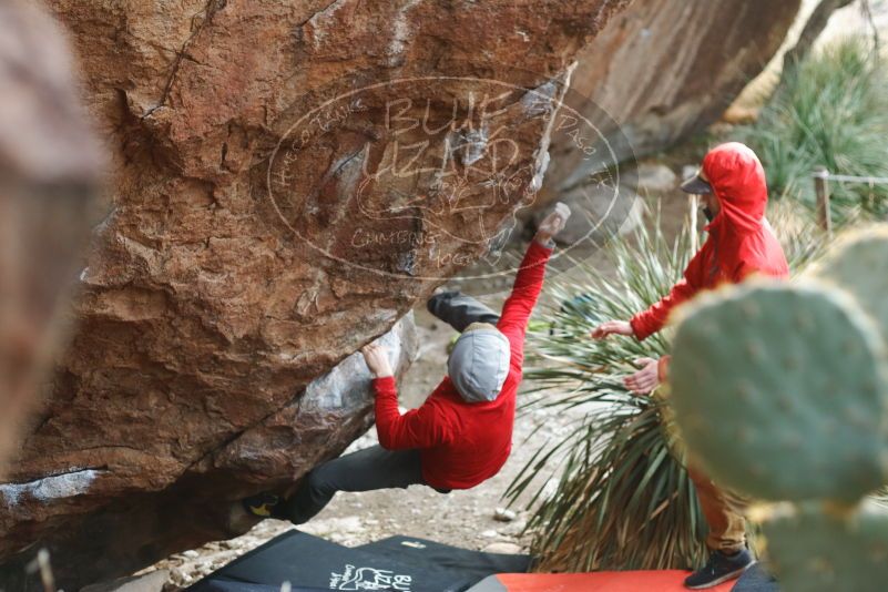Bouldering in Hueco Tanks on 12/11/2019 with Blue Lizard Climbing and Yoga

Filename: SRM_20191211_1701300.jpg
Aperture: f/2.8
Shutter Speed: 1/320
Body: Canon EOS-1D Mark II
Lens: Canon EF 50mm f/1.8 II