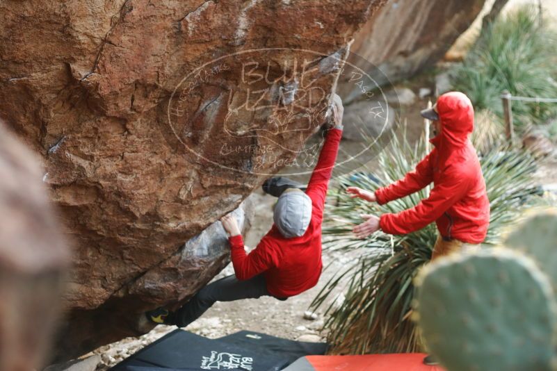 Bouldering in Hueco Tanks on 12/11/2019 with Blue Lizard Climbing and Yoga
Filename: SRM_20191211_1701310.jpg
Aperture: f/2.8
Shutter Speed: 1/320
Body: Canon EOS-1D Mark II
Lens: Canon EF 50mm f/1.8 II