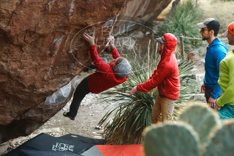 Bouldering in Hueco Tanks on 12/11/2019 with Blue Lizard Climbing and Yoga
Filename: SRM_20191211_1701390.jpg
Aperture: f/2.8
Shutter Speed: 1/400
Body: Canon EOS-1D Mark II
Lens: Canon EF 50mm f/1.8 II