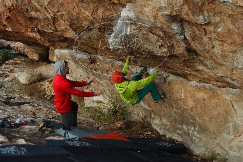 Bouldering in Hueco Tanks on 12/11/2019 with Blue Lizard Climbing and Yoga

Filename: SRM_20191211_1807250.jpg
Aperture: f/2.8
Shutter Speed: 1/250
Body: Canon EOS-1D Mark II
Lens: Canon EF 50mm f/1.8 II