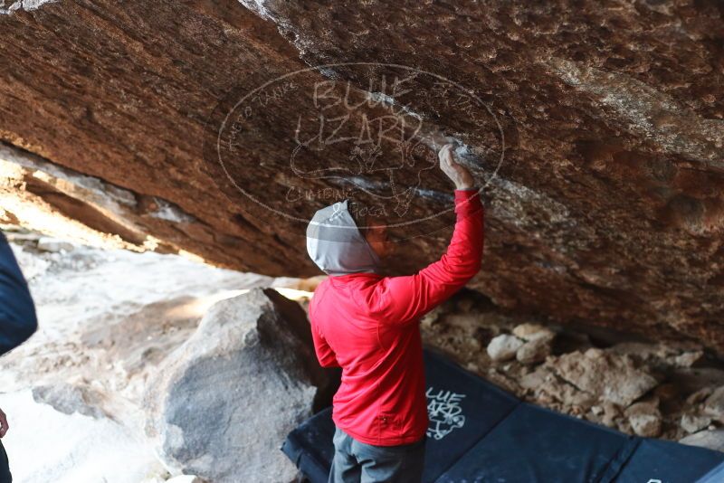 Bouldering in Hueco Tanks on 12/13/2019 with Blue Lizard Climbing and Yoga
Filename: SRM_20191213_1118030.jpg
Aperture: f/2.8
Shutter Speed: 1/250
Body: Canon EOS-1D Mark II
Lens: Canon EF 50mm f/1.8 II