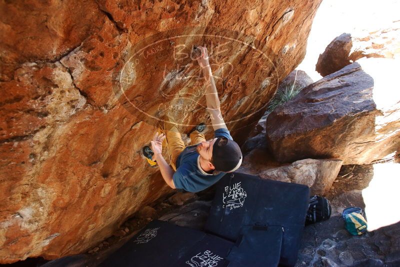 Bouldering in Hueco Tanks on 12/13/2019 with Blue Lizard Climbing and Yoga
Filename: SRM_20191213_1314270.jpg
Aperture: f/4.0
Shutter Speed: 1/250
Body: Canon EOS-1D Mark II
Lens: Canon EF 16-35mm f/2.8 L