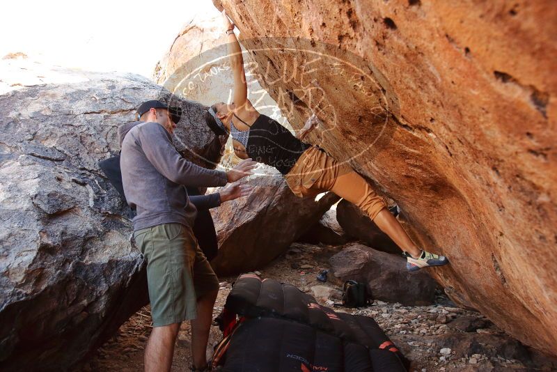 Bouldering in Hueco Tanks on 12/14/2019 with Blue Lizard Climbing and Yoga

Filename: SRM_20191214_1158280.jpg
Aperture: f/5.0
Shutter Speed: 1/250
Body: Canon EOS-1D Mark II
Lens: Canon EF 16-35mm f/2.8 L