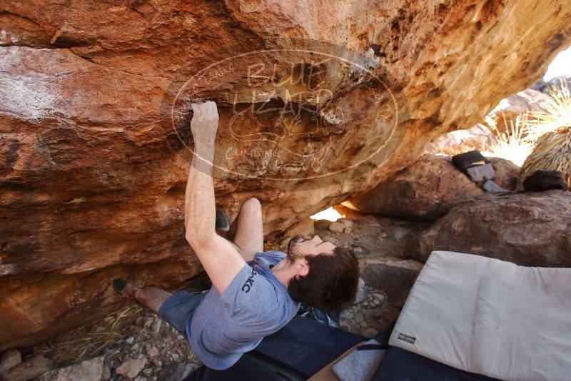 Bouldering in Hueco Tanks on 12/14/2019 with Blue Lizard Climbing and Yoga

Filename: SRM_20191214_1206490.jpg
Aperture: f/4.0
Shutter Speed: 1/250
Body: Canon EOS-1D Mark II
Lens: Canon EF 16-35mm f/2.8 L