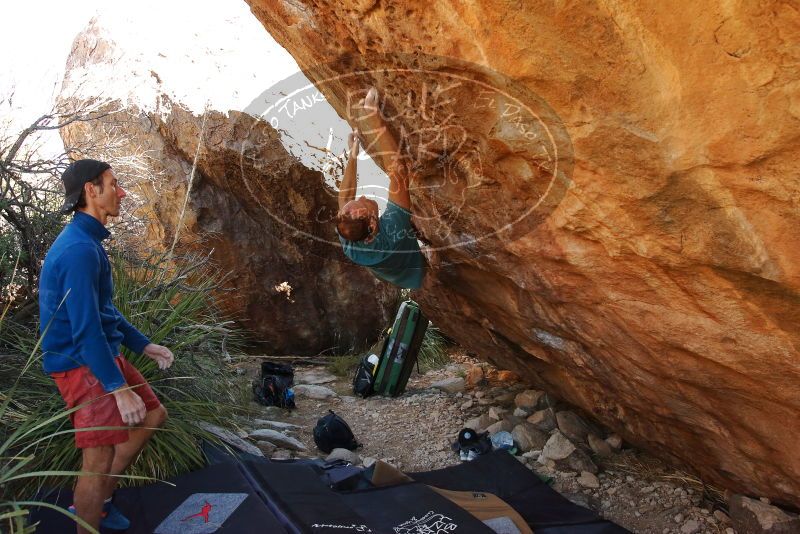 Bouldering in Hueco Tanks on 12/14/2019 with Blue Lizard Climbing and Yoga

Filename: SRM_20191214_1246421.jpg
Aperture: f/5.6
Shutter Speed: 1/250
Body: Canon EOS-1D Mark II
Lens: Canon EF 16-35mm f/2.8 L