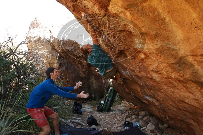 Bouldering in Hueco Tanks on 12/14/2019 with Blue Lizard Climbing and Yoga

Filename: SRM_20191214_1246460.jpg
Aperture: f/6.3
Shutter Speed: 1/250
Body: Canon EOS-1D Mark II
Lens: Canon EF 16-35mm f/2.8 L