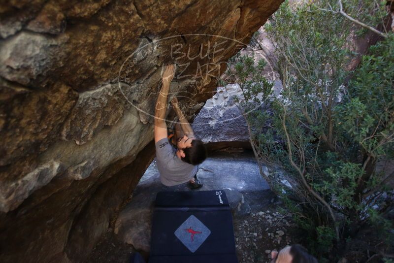Bouldering in Hueco Tanks on 12/14/2019 with Blue Lizard Climbing and Yoga

Filename: SRM_20191214_1532030.jpg
Aperture: f/3.2
Shutter Speed: 1/250
Body: Canon EOS-1D Mark II
Lens: Canon EF 16-35mm f/2.8 L