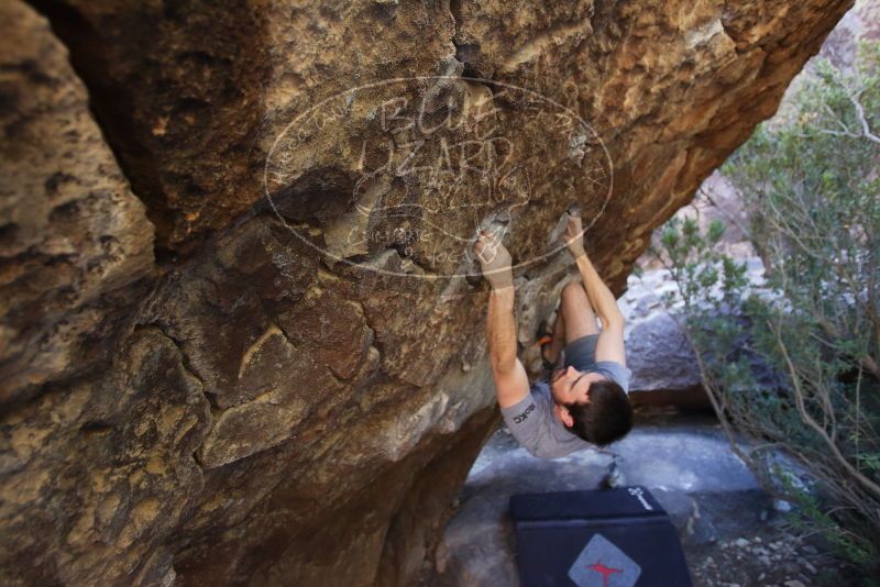 Bouldering in Hueco Tanks on 12/14/2019 with Blue Lizard Climbing and Yoga

Filename: SRM_20191214_1545210.jpg
Aperture: f/3.2
Shutter Speed: 1/250
Body: Canon EOS-1D Mark II
Lens: Canon EF 16-35mm f/2.8 L