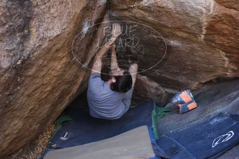 Bouldering in Hueco Tanks on 12/14/2019 with Blue Lizard Climbing and Yoga

Filename: SRM_20191214_1633131.jpg
Aperture: f/4.0
Shutter Speed: 1/250
Body: Canon EOS-1D Mark II
Lens: Canon EF 50mm f/1.8 II