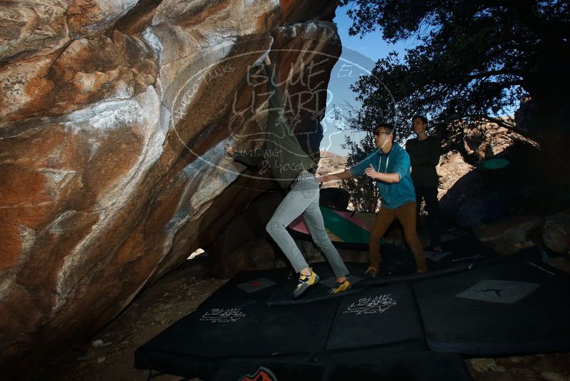 Bouldering in Hueco Tanks on 12/15/2019 with Blue Lizard Climbing and Yoga

Filename: SRM_20191215_1053130.jpg
Aperture: f/8.0
Shutter Speed: 1/250
Body: Canon EOS-1D Mark II
Lens: Canon EF 16-35mm f/2.8 L