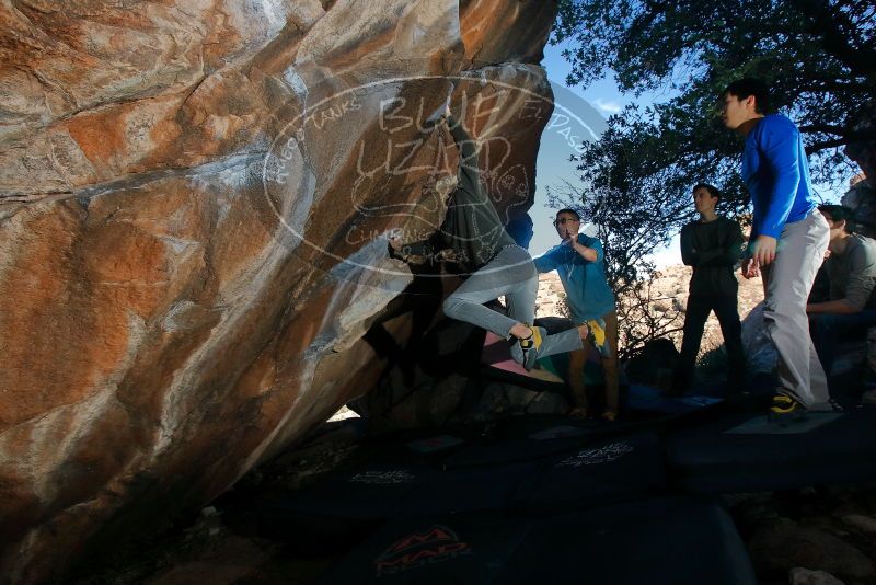 Bouldering in Hueco Tanks on 12/15/2019 with Blue Lizard Climbing and Yoga
Filename: SRM_20191215_1054501.jpg
Aperture: f/8.0
Shutter Speed: 1/250
Body: Canon EOS-1D Mark II
Lens: Canon EF 16-35mm f/2.8 L