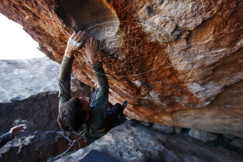 Bouldering in Hueco Tanks on 12/15/2019 with Blue Lizard Climbing and Yoga
Filename: SRM_20191215_1151370.jpg
Aperture: f/4.5
Shutter Speed: 1/250
Body: Canon EOS-1D Mark II
Lens: Canon EF 16-35mm f/2.8 L