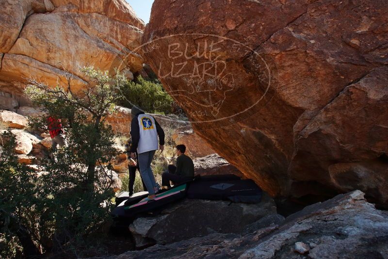 

Filename: SRM_20191215_1323480.jpg
Aperture: f/9.0
Shutter Speed: 1/250
Body: Canon EOS-1D Mark II
Lens: Canon EF 16-35mm f/2.8 L