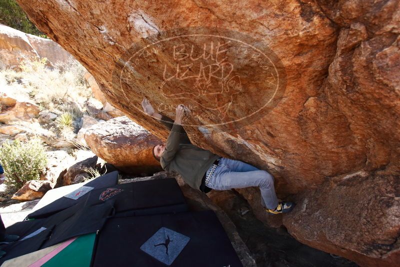 Bouldering in Hueco Tanks on 12/15/2019 with Blue Lizard Climbing and Yoga

Filename: SRM_20191215_1337480.jpg
Aperture: f/5.0
Shutter Speed: 1/250
Body: Canon EOS-1D Mark II
Lens: Canon EF 16-35mm f/2.8 L