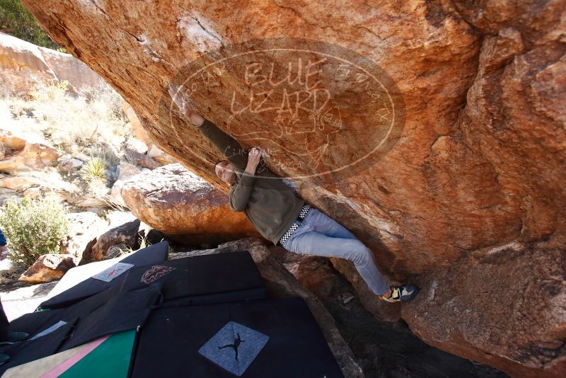 Bouldering in Hueco Tanks on 12/15/2019 with Blue Lizard Climbing and Yoga
Filename: SRM_20191215_1337490.jpg
Aperture: f/5.0
Shutter Speed: 1/250
Body: Canon EOS-1D Mark II
Lens: Canon EF 16-35mm f/2.8 L