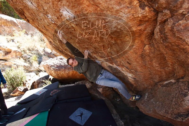 Bouldering in Hueco Tanks on 12/15/2019 with Blue Lizard Climbing and Yoga
Filename: SRM_20191215_1337500.jpg
Aperture: f/5.0
Shutter Speed: 1/250
Body: Canon EOS-1D Mark II
Lens: Canon EF 16-35mm f/2.8 L