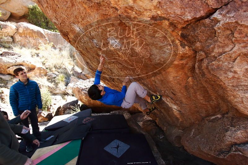 Bouldering in Hueco Tanks on 12/15/2019 with Blue Lizard Climbing and Yoga
Filename: SRM_20191215_1340260.jpg
Aperture: f/5.6
Shutter Speed: 1/250
Body: Canon EOS-1D Mark II
Lens: Canon EF 16-35mm f/2.8 L