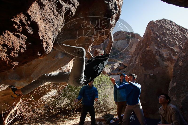 Bouldering in Hueco Tanks on 12/15/2019 with Blue Lizard Climbing and Yoga

Filename: SRM_20191215_1436050.jpg
Aperture: f/4.5
Shutter Speed: 1/400
Body: Canon EOS-1D Mark II
Lens: Canon EF 16-35mm f/2.8 L