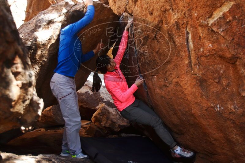 Bouldering in Hueco Tanks on 12/15/2019 with Blue Lizard Climbing and Yoga

Filename: SRM_20191215_1449500.jpg
Aperture: f/2.8
Shutter Speed: 1/250
Body: Canon EOS-1D Mark II
Lens: Canon EF 16-35mm f/2.8 L