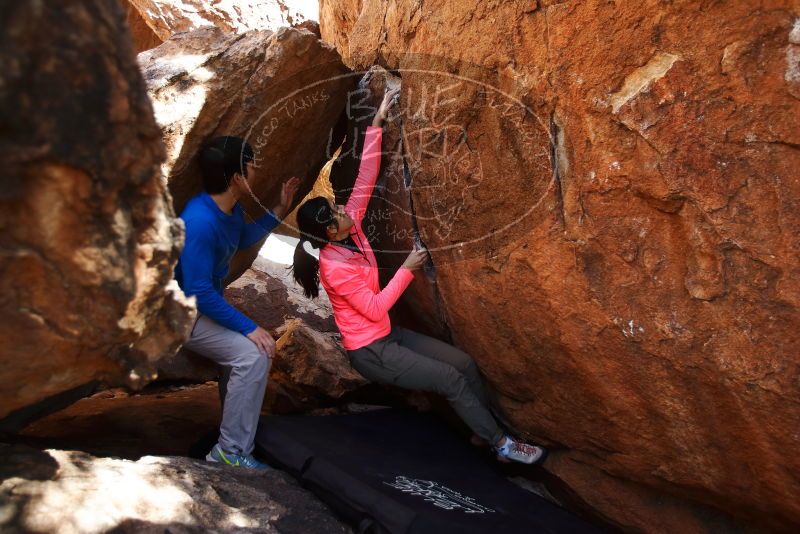 Bouldering in Hueco Tanks on 12/15/2019 with Blue Lizard Climbing and Yoga
Filename: SRM_20191215_1450390.jpg
Aperture: f/2.8
Shutter Speed: 1/250
Body: Canon EOS-1D Mark II
Lens: Canon EF 16-35mm f/2.8 L