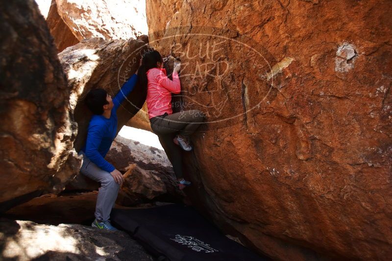 Bouldering in Hueco Tanks on 12/15/2019 with Blue Lizard Climbing and Yoga
Filename: SRM_20191215_1451050.jpg
Aperture: f/2.8
Shutter Speed: 1/320
Body: Canon EOS-1D Mark II
Lens: Canon EF 16-35mm f/2.8 L