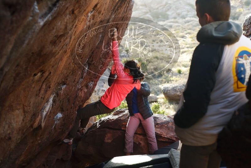 Bouldering in Hueco Tanks on 12/15/2019 with Blue Lizard Climbing and Yoga

Filename: SRM_20191215_1700000.jpg
Aperture: f/4.0
Shutter Speed: 1/250
Body: Canon EOS-1D Mark II
Lens: Canon EF 50mm f/1.8 II