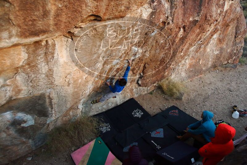 Bouldering in Hueco Tanks on 12/15/2019 with Blue Lizard Climbing and Yoga
Filename: SRM_20191215_1800580.jpg
Aperture: f/4.0
Shutter Speed: 1/250
Body: Canon EOS-1D Mark II
Lens: Canon EF 16-35mm f/2.8 L