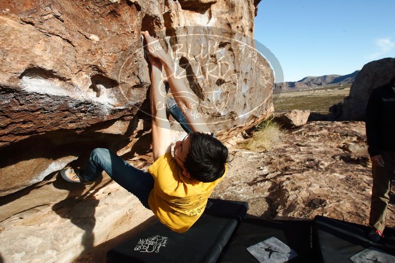Bouldering in Hueco Tanks on 12/16/2019 with Blue Lizard Climbing and Yoga

Filename: SRM_20191216_1011250.jpg
Aperture: f/8.0
Shutter Speed: 1/320
Body: Canon EOS-1D Mark II
Lens: Canon EF 16-35mm f/2.8 L