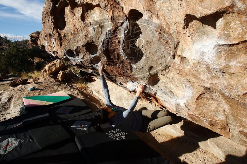 Bouldering in Hueco Tanks on 12/16/2019 with Blue Lizard Climbing and Yoga

Filename: SRM_20191216_1016500.jpg
Aperture: f/8.0
Shutter Speed: 1/640
Body: Canon EOS-1D Mark II
Lens: Canon EF 16-35mm f/2.8 L