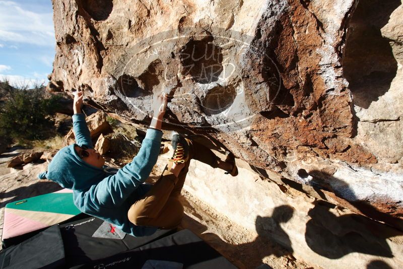 Bouldering in Hueco Tanks on 12/16/2019 with Blue Lizard Climbing and Yoga
Filename: SRM_20191216_1020200.jpg
Aperture: f/8.0
Shutter Speed: 1/400
Body: Canon EOS-1D Mark II
Lens: Canon EF 16-35mm f/2.8 L