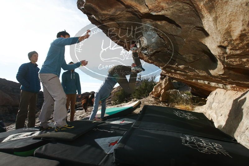 Bouldering in Hueco Tanks on 12/16/2019 with Blue Lizard Climbing and Yoga

Filename: SRM_20191216_1033490.jpg
Aperture: f/8.0
Shutter Speed: 1/250
Body: Canon EOS-1D Mark II
Lens: Canon EF 16-35mm f/2.8 L