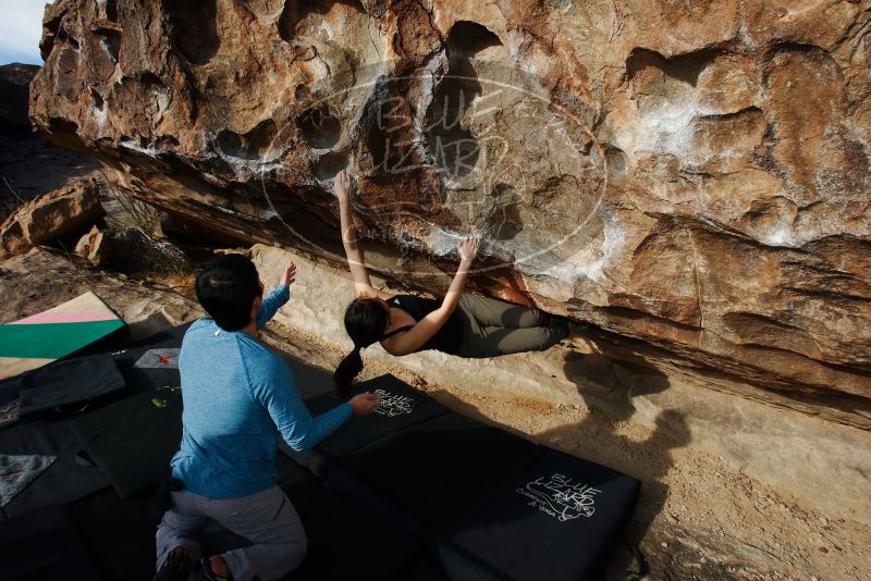Bouldering in Hueco Tanks on 12/16/2019 with Blue Lizard Climbing and Yoga
Filename: SRM_20191216_1042120.jpg
Aperture: f/8.0
Shutter Speed: 1/250
Body: Canon EOS-1D Mark II
Lens: Canon EF 16-35mm f/2.8 L
